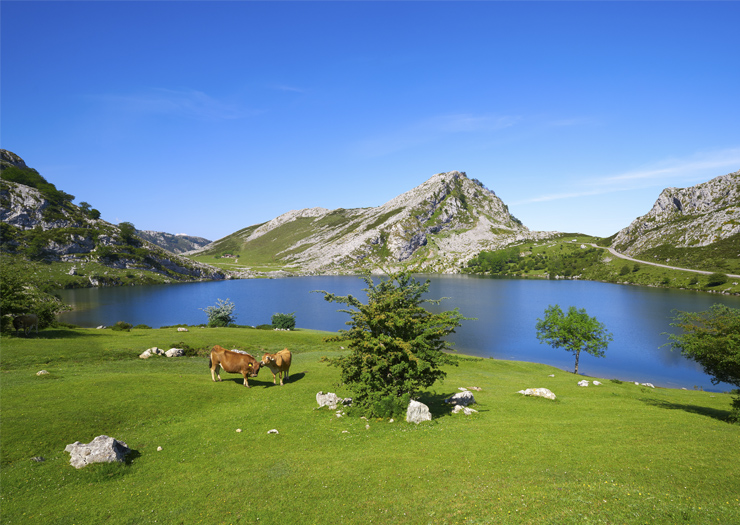 Campos, montanhas e lago na região de Astúrias