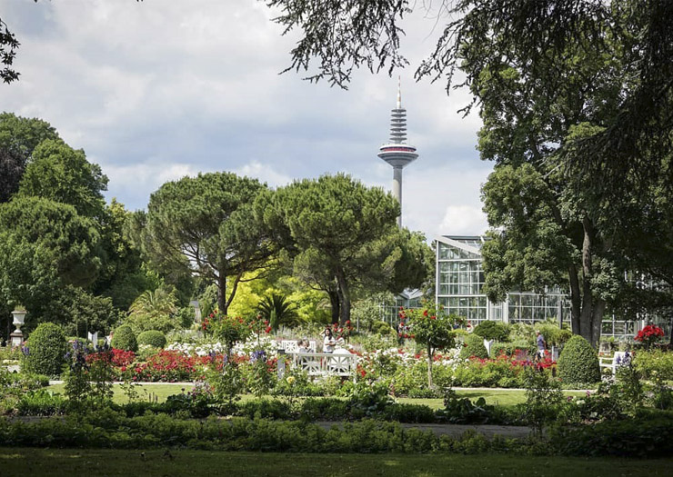 Parque jardim de Palmeiras em Frankfurt